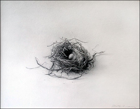 NEST II