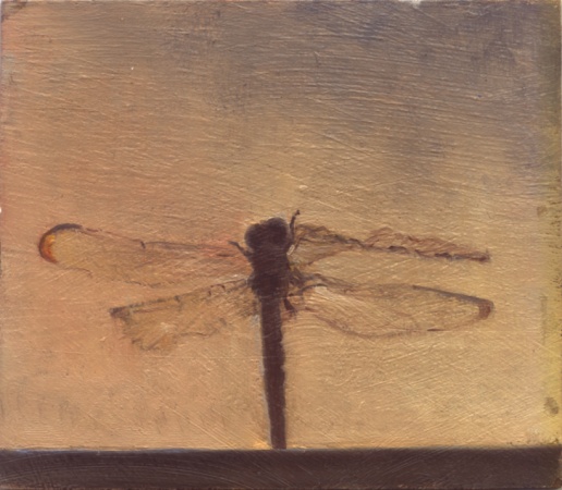 DRAGONFLY ON A SILL