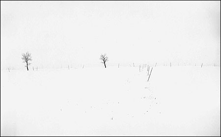 HORIZONT (THE HORIZON)