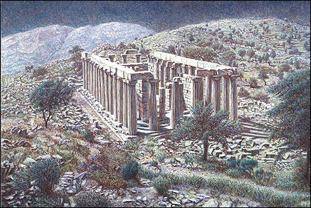 THE TEMPLE OF APOLLO AT BASSAE 